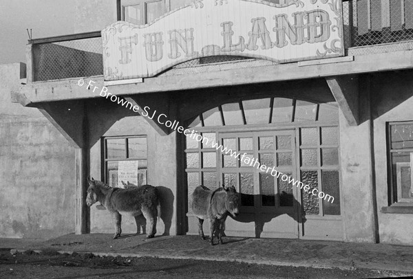 FUNLAND  DONKEYS OUTSIDE CINEMA